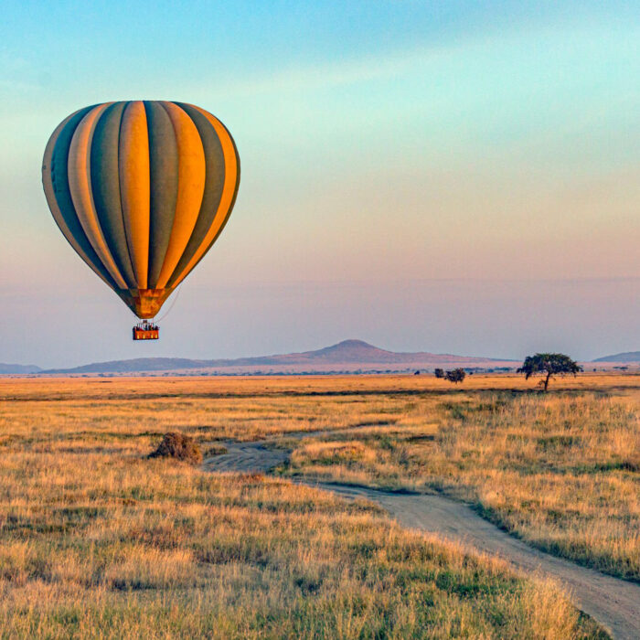 The aerial view during the hot air balloon ride.